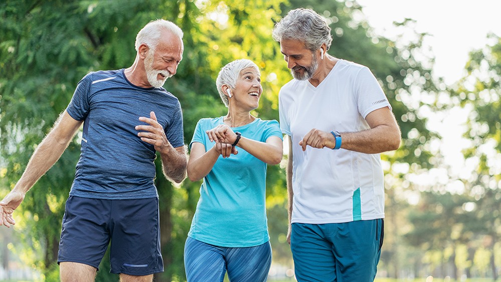 Elysium Basis Review: Is It Safe and Effective? Elysium Basis Review: Is It Safe and Effective?