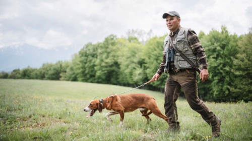 Force Factor Prostate Review: Is It Safe and Effective?