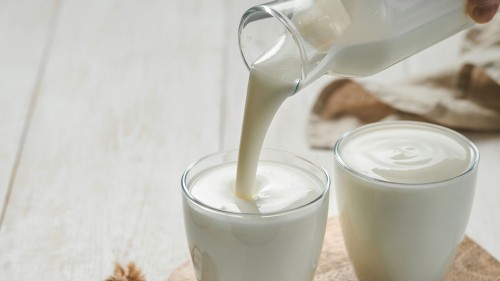 15 Probiotic Foods to Add to Your Diet That a Dietitian Recommends