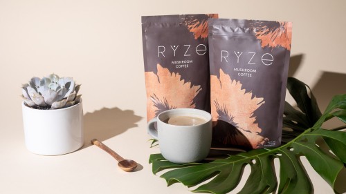 Ryze Mushroom Coffee Review: A Great Coffee Alternative Plus Health Benefits